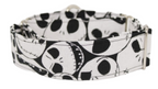 Collar Jack para perros