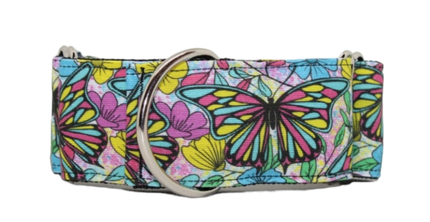 Collar Mariposas para perros