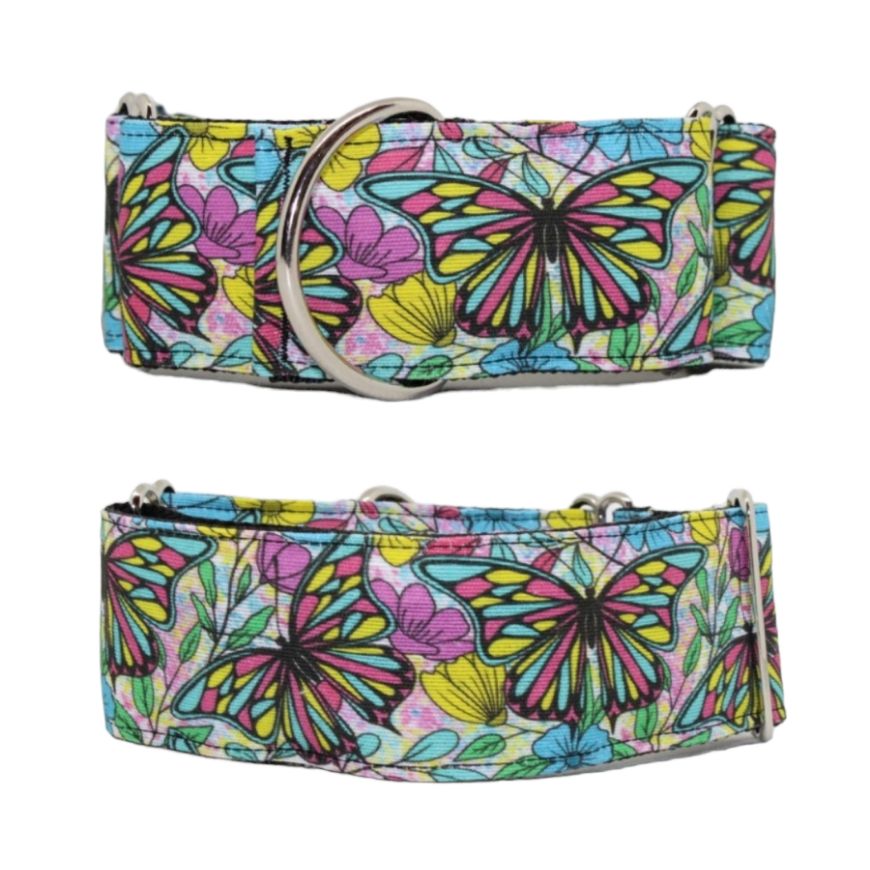 Collar Mariposas para perros