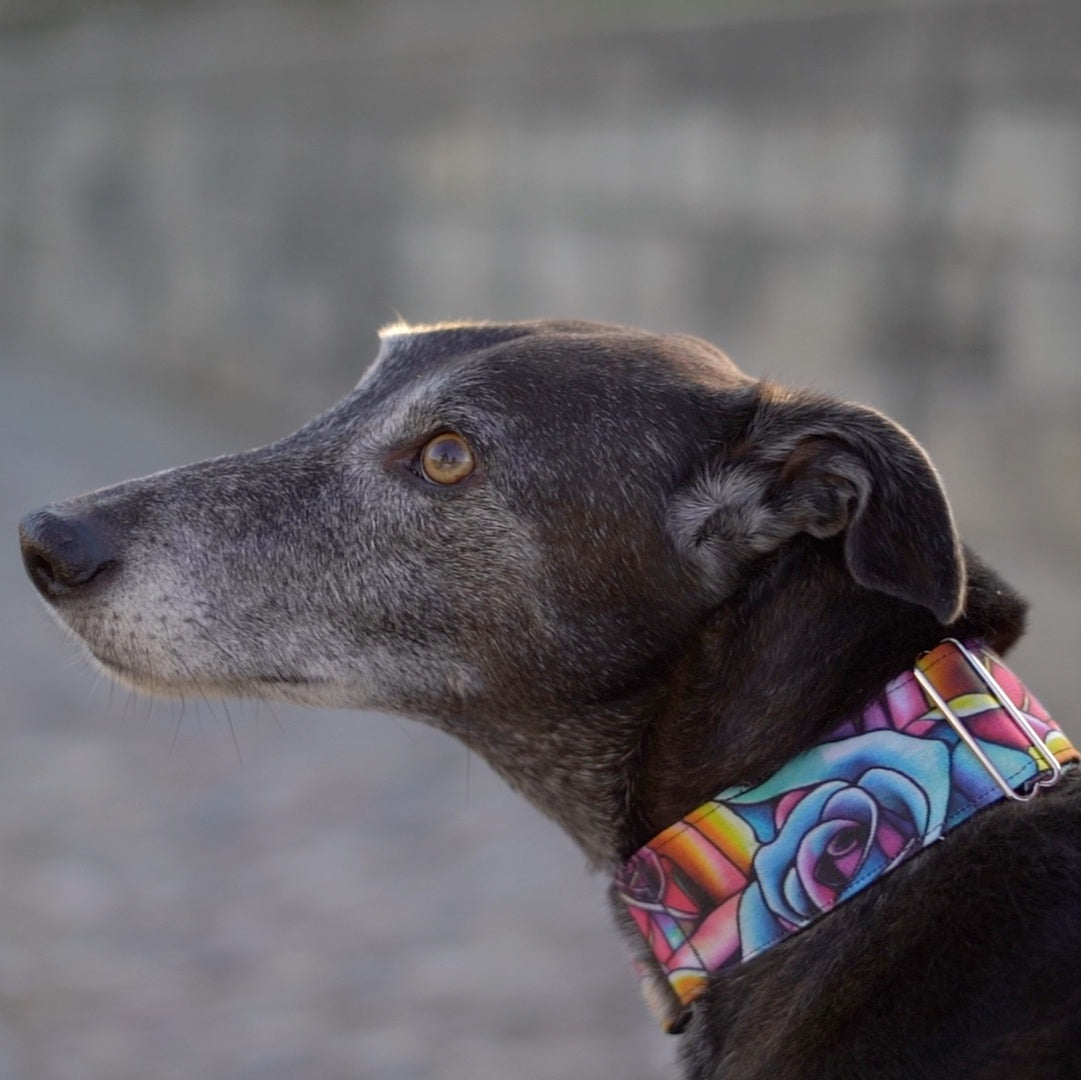 Collar Rosas para perros