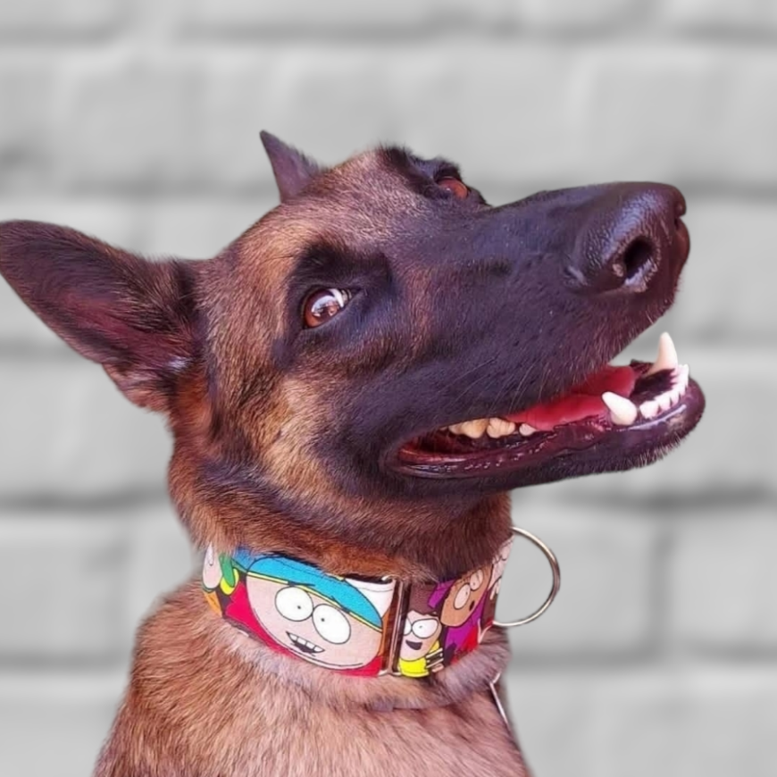 Perro cliente con collar artesanal de Collares Martingales Bella