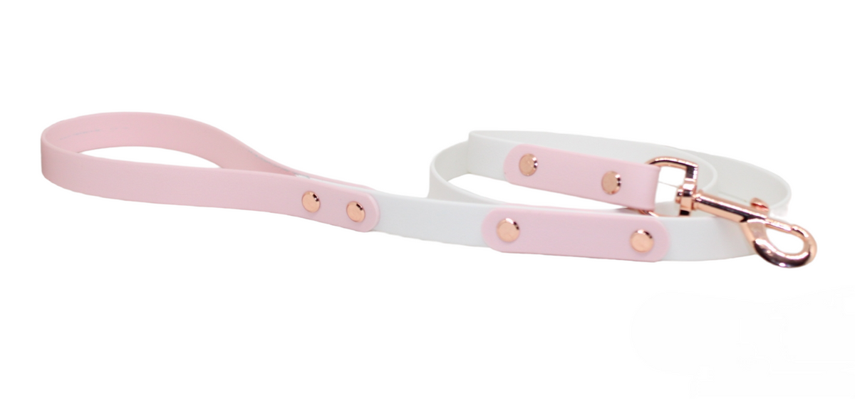 Correa Blanca y Rosa para perros