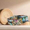 Collar Detective Conan