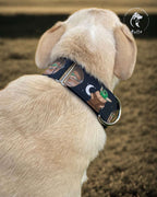 Collar Baby Yoda para perros