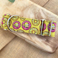 Collar Homer Simpson