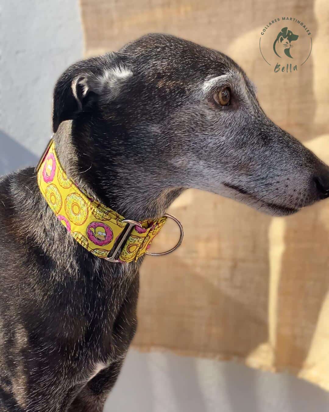 Collar Homer Simpson para perros