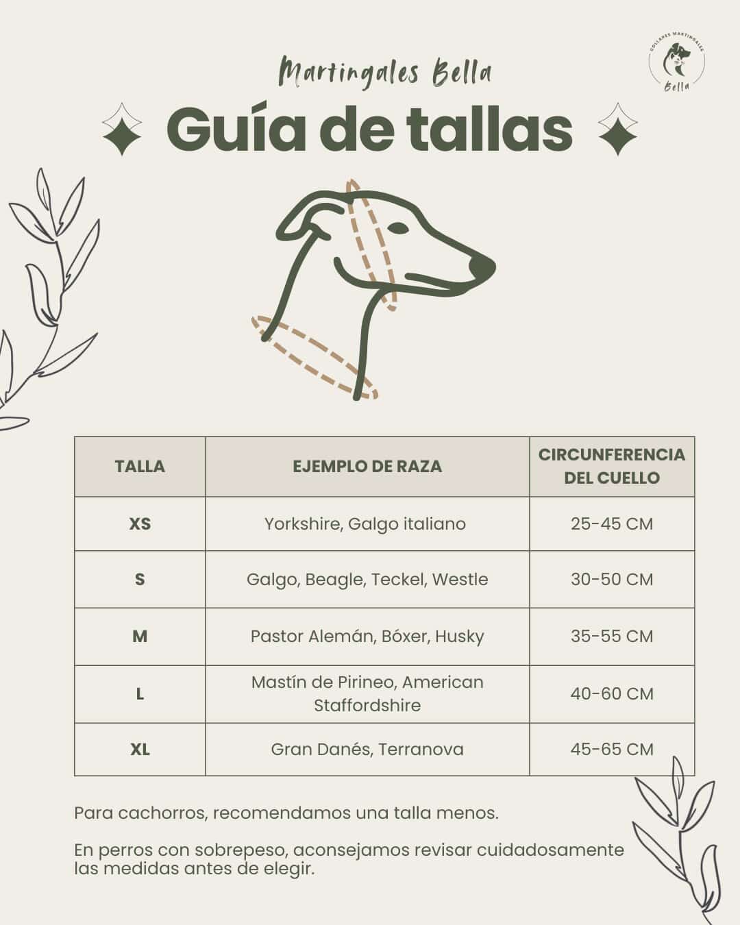 Collar para perros hecho a mano