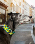 Collar Leopardo amarillo para perros