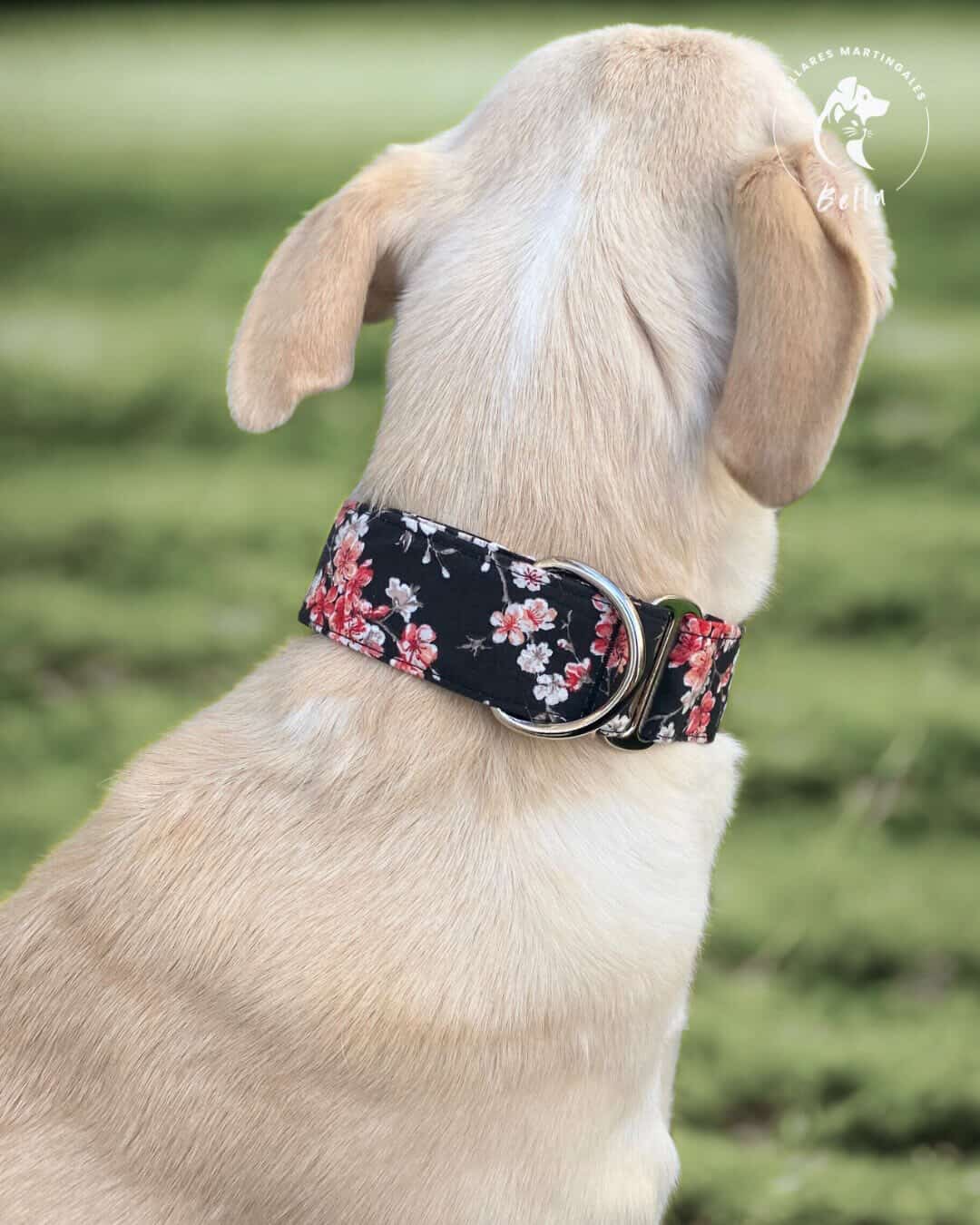 Collar Sakura para perros