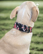 Collar Sakura para perros