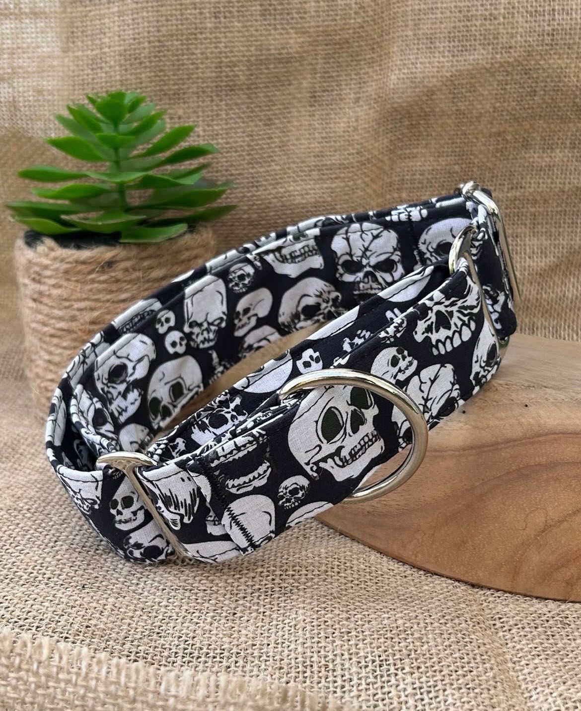 Collar Calaveras para perros