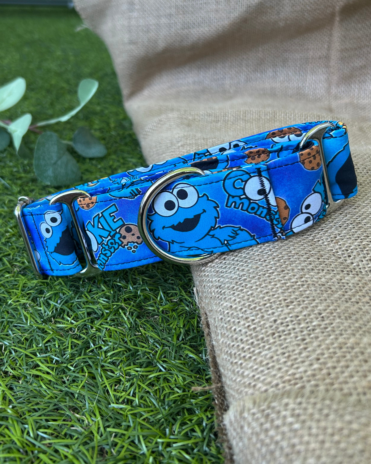 Collar Monstruo Galletas para perros