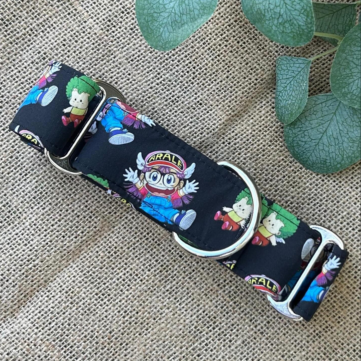 Collar Arale para perros