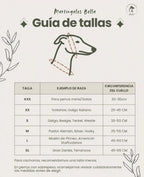 Collar Pokémon para perros