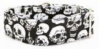 Collar Calaveras para perros