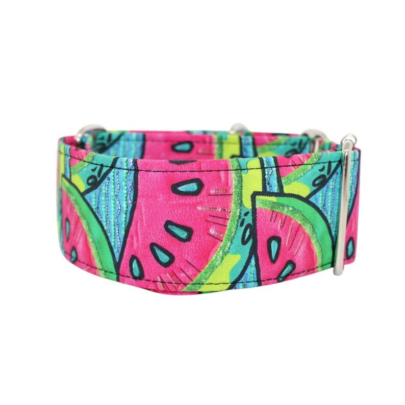 Collar Watermelon para perros