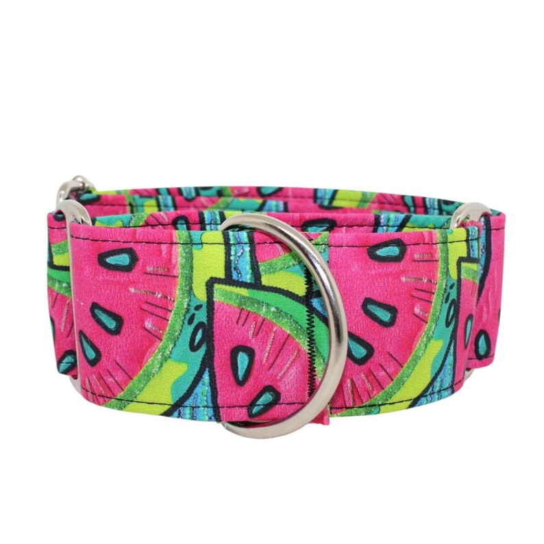 Collar Watermelon para perros