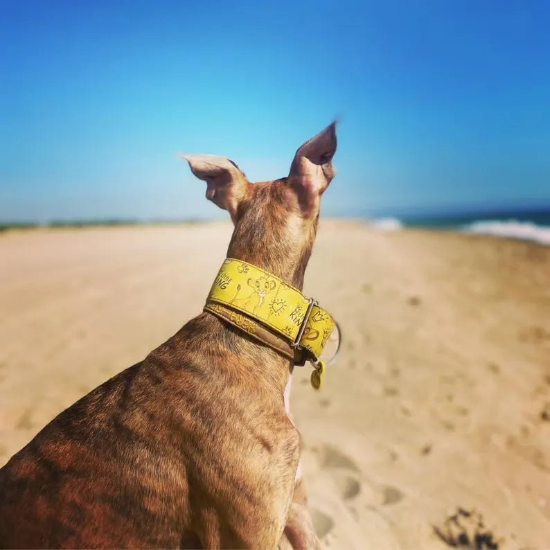 Collar Rey León para perros
