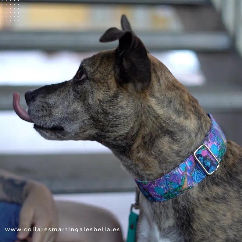 Collar Avatar para perros