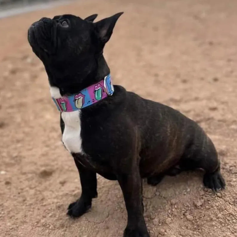 Collar Rolling Stones