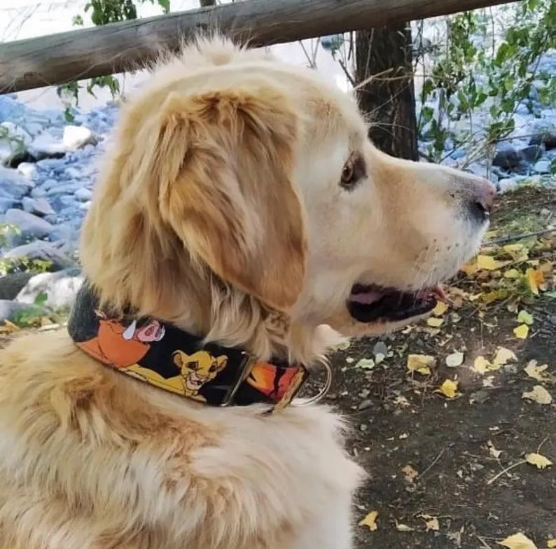Collar Hakuna Matata para perros
