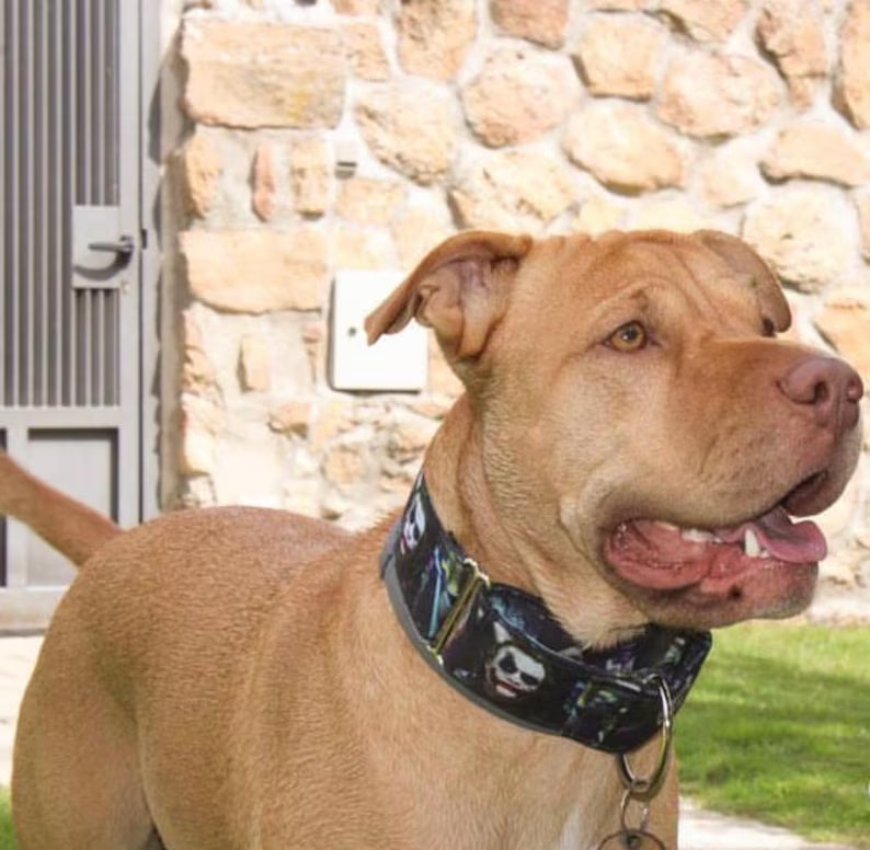 Collar Jocker para perros
