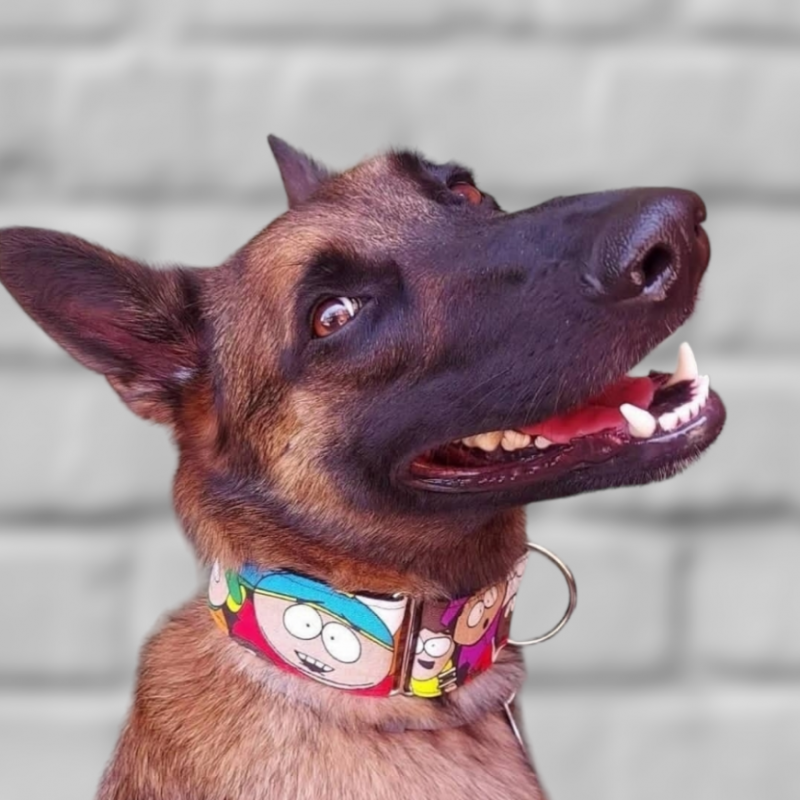 Collar South Park para perros